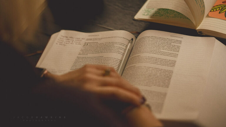 28337254_1789950557703869_7820824335593185701_o