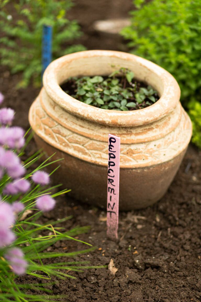 CommunityGarden2019WEB-200