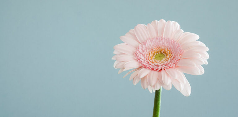 andrew-small-127196-unsplash